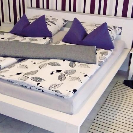Appartement Schoenberger ロッダー エクステリア 写真